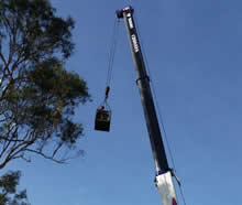 Tree Lopping Services in Cairns, Queensland